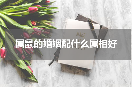属鼠的婚姻配什么属相好