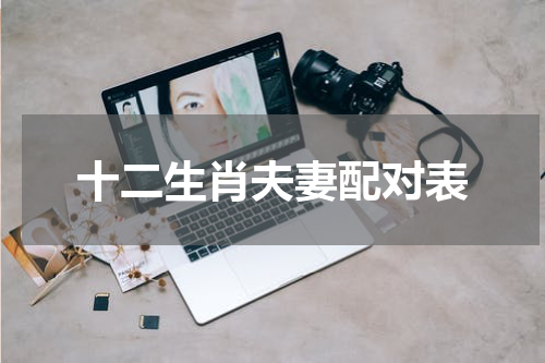 十二生肖夫妻配对表