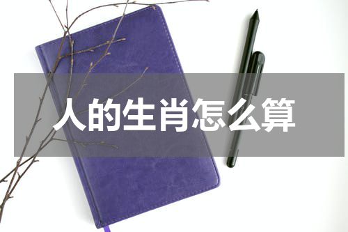 人的生肖怎么算