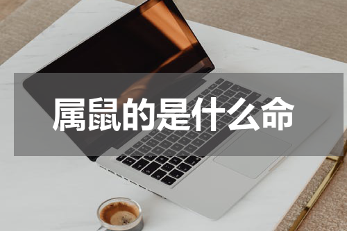 属鼠的是什么命