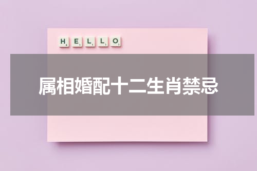 属相婚配十二生肖禁忌