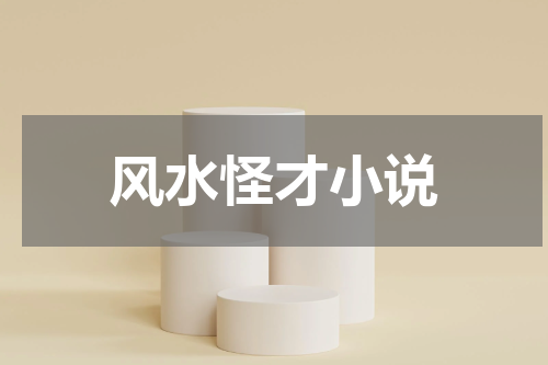 风水怪才小说