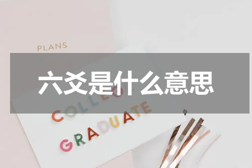 六爻是什么意思