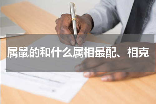 属鼠的和什么属相最配、相克