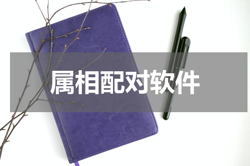 属相配对软件