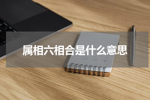 属相六相合是什么意思