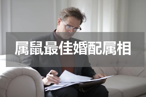 属鼠最佳婚配属相