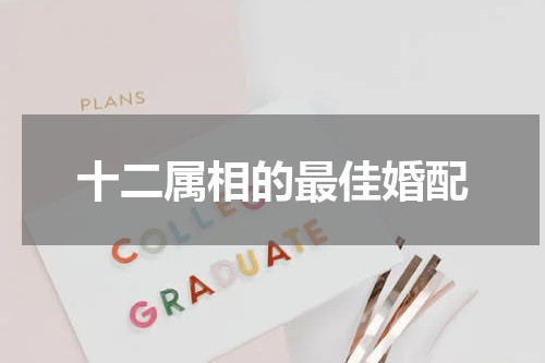 十二属相的最佳婚配