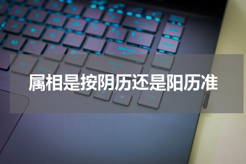 属相是按阴历还是阳历准