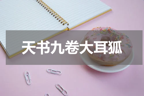天书九卷大耳狐
