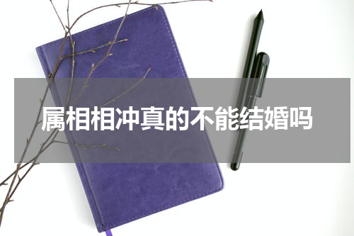 属相相冲真的不能结婚吗