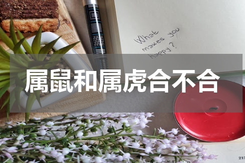 属鼠和属虎合不合