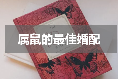属鼠的最佳婚配