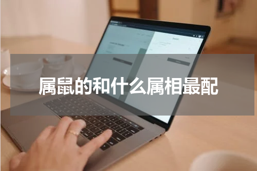 属鼠的和什么属相最配