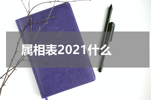 属相表2021什么