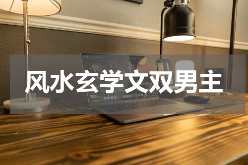 风水玄学文双男主