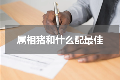 属相猪和什么配最佳