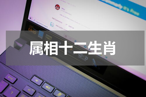 属相十二生肖