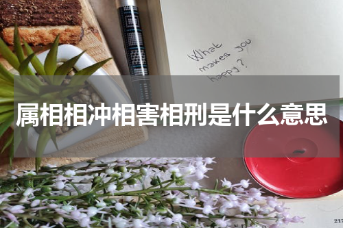 属相相冲相害相刑是什么意思