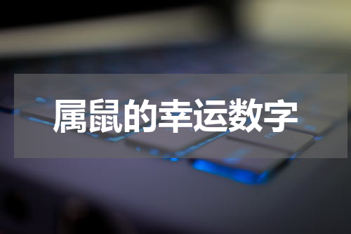 属鼠的幸运数字