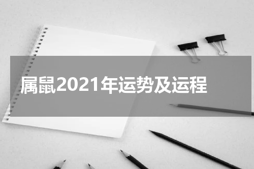 属鼠2021年运势及运程