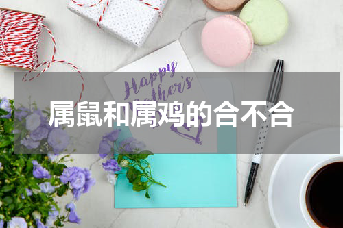 属鼠和属鸡的合不合