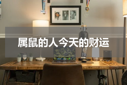 属鼠的人今天的财运