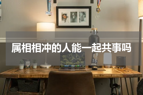 属相相冲的人能一起共事吗