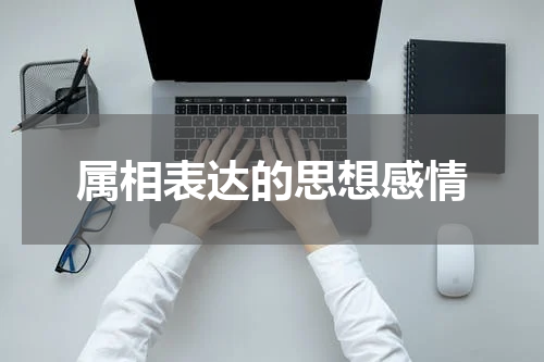 属相表达的思想感情