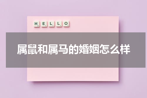 属鼠和属马的婚姻怎么样