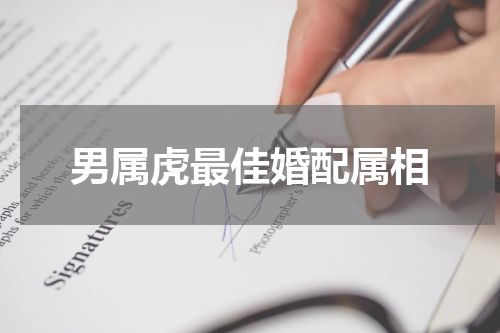男属虎最佳婚配属相