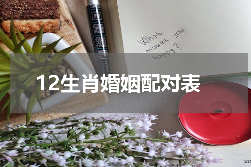 12生肖婚姻配对表