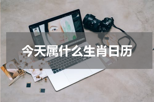 今天属什么生肖日历