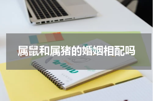 属鼠和属猪的婚姻相配吗
