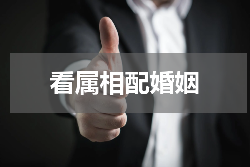 看属相配婚姻