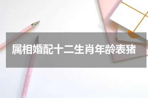 属相婚配十二生肖年龄表猪