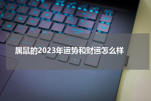属鼠的2023年运势和财运怎么样
