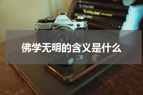 佛学无明的含义是什么