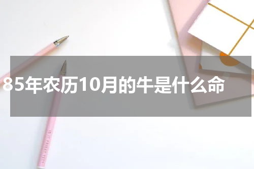 85年农历10月的牛是什么命