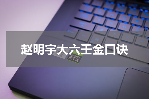 赵明宇大六壬金口诀