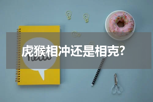 虎猴相冲还是相克?