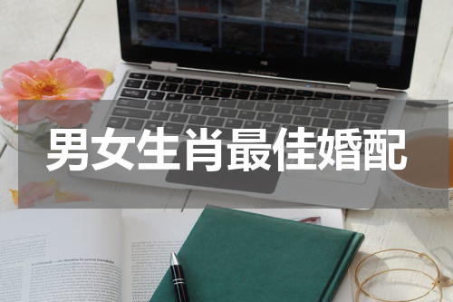 男女生肖最佳婚配