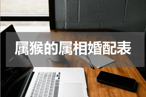 属猴的属相婚配表