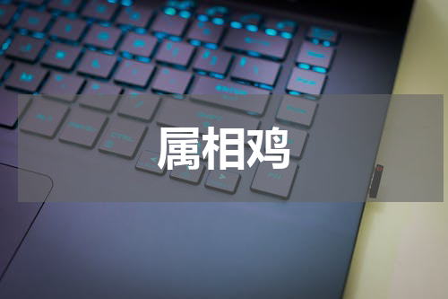 属相鸡