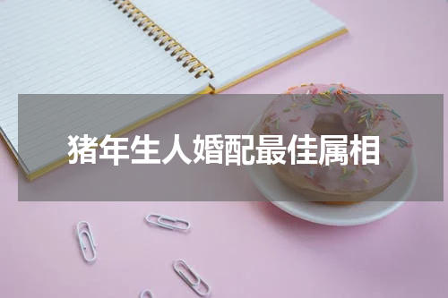 猪年生人婚配最佳属相