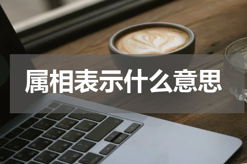 属相表示什么意思