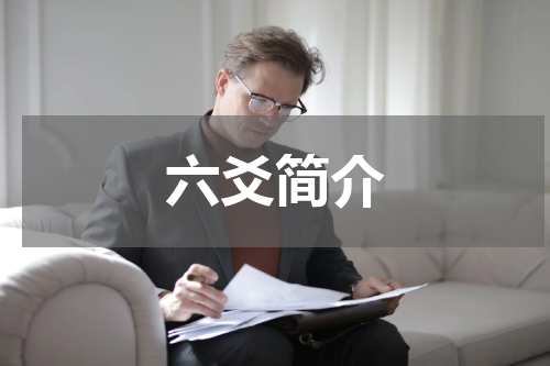 六爻简介