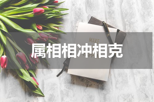 属相相冲相克