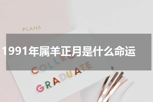 1991年属羊正月是什么命运