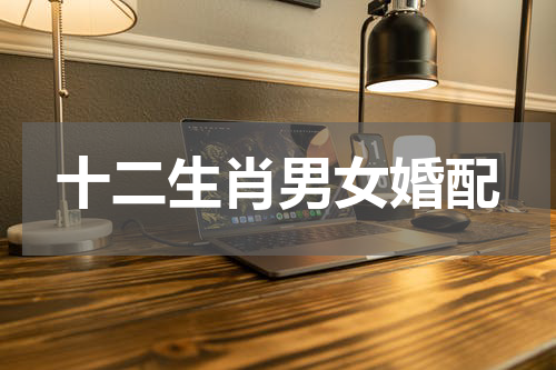 十二生肖男女婚配